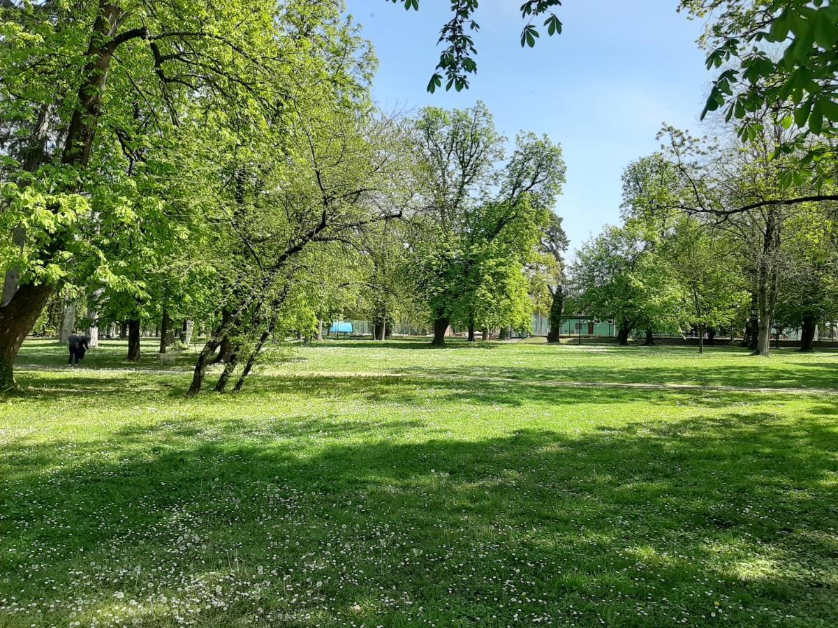 Apartman Kod Kestena Osijek Buitenkant foto